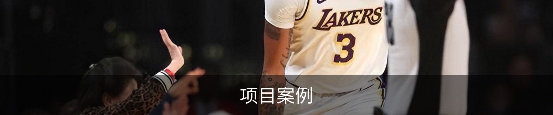 项目案例